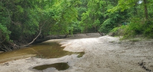 [Upstream Sugar Creek; Two Mile Branch comes in at the left]