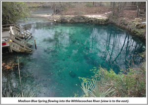 [Madison Blue Spring flowing into the Withlacoochee River (view is to the east)]