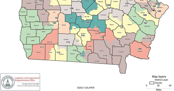 Map: Georgia statehouse districts in the Suwannee River Basin