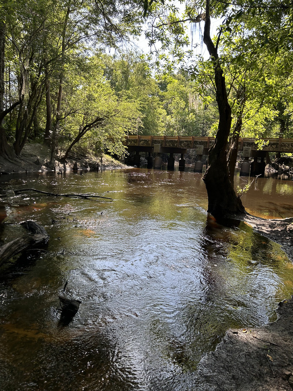 [Franklinville, Withlacoochee River @ Frankinville Road 2023-05-04]