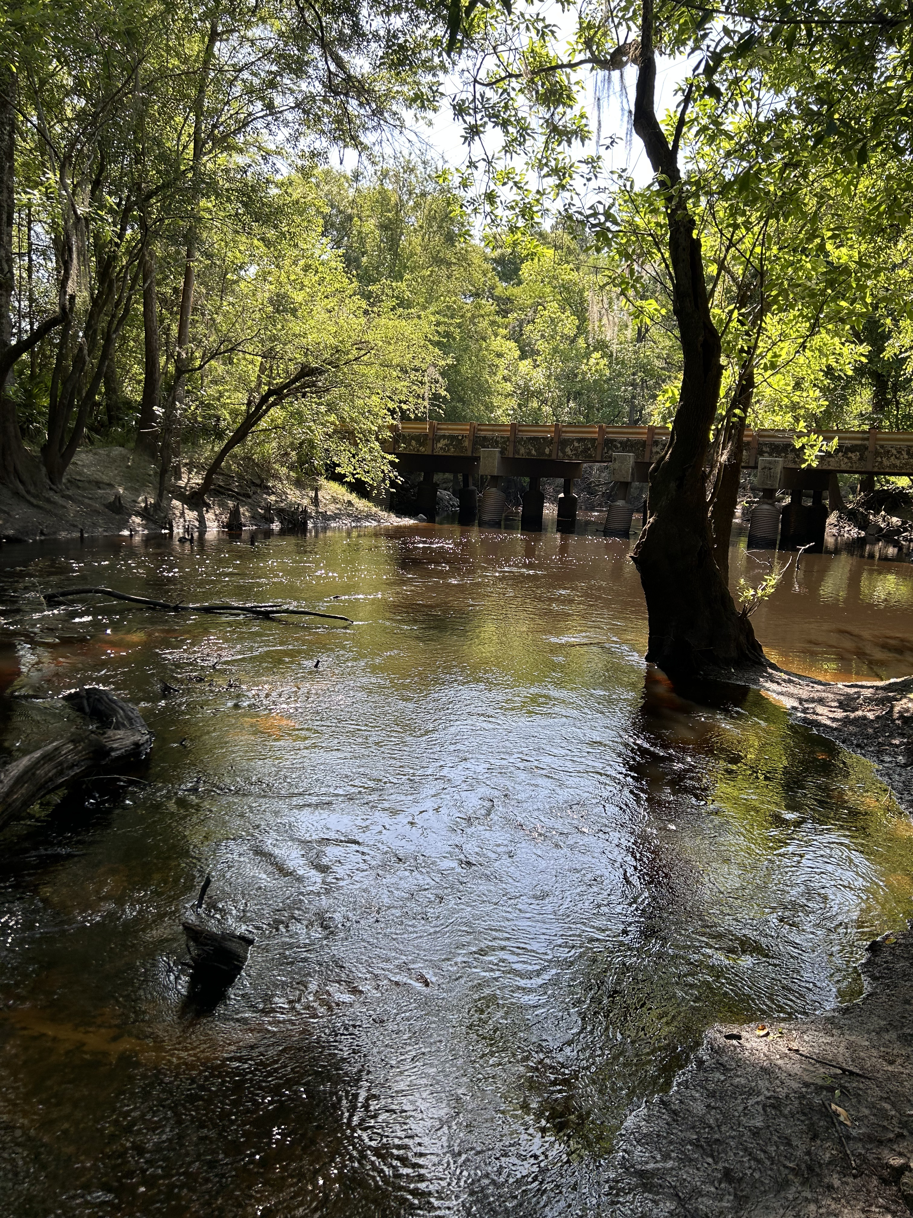 Franklinville, Withlacoochee River @ Frankinville Road 2023-05-04