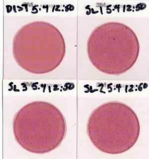 [Plates, State Line Boat Ramp 2023-05-04]