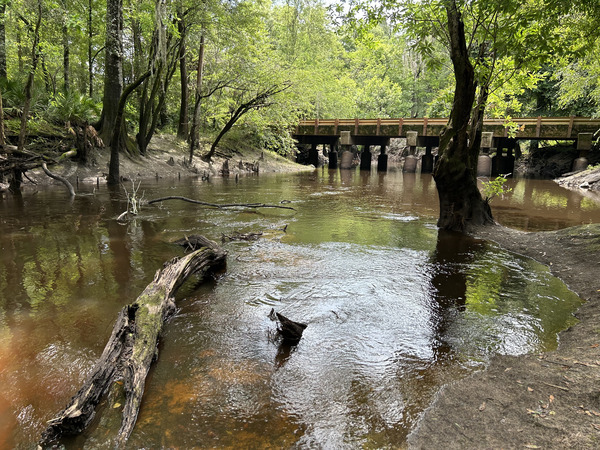 [Franklinville, Withlacoochee River @ Frankinville Road 2023-05-18]