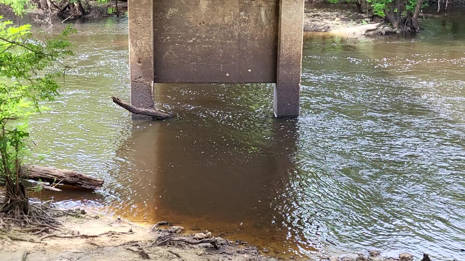 Movie: Level and Flow, Nankin Boat Ramp, Withlacoochee River @ Clyattville-Nankin Road 2023-05-18