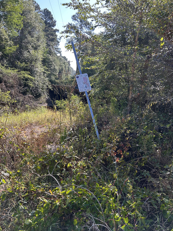 Franklinville Sign, Withlacoochee River @ Frankinville Road 2023-05-25