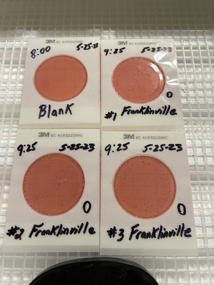 [Plates, Franklinville 2023-05-25]