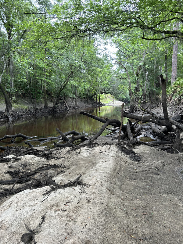 [Staten Road, Withlacoochee River @ Staten Road 2023-06-01]