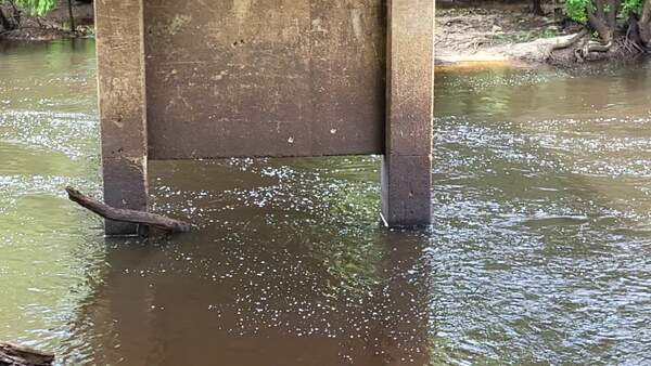 Movie: Water Level and Flow, Nankin Boat Ramp, Withlacoochee River @ Clyattville-Nankin Road 2023-06-01