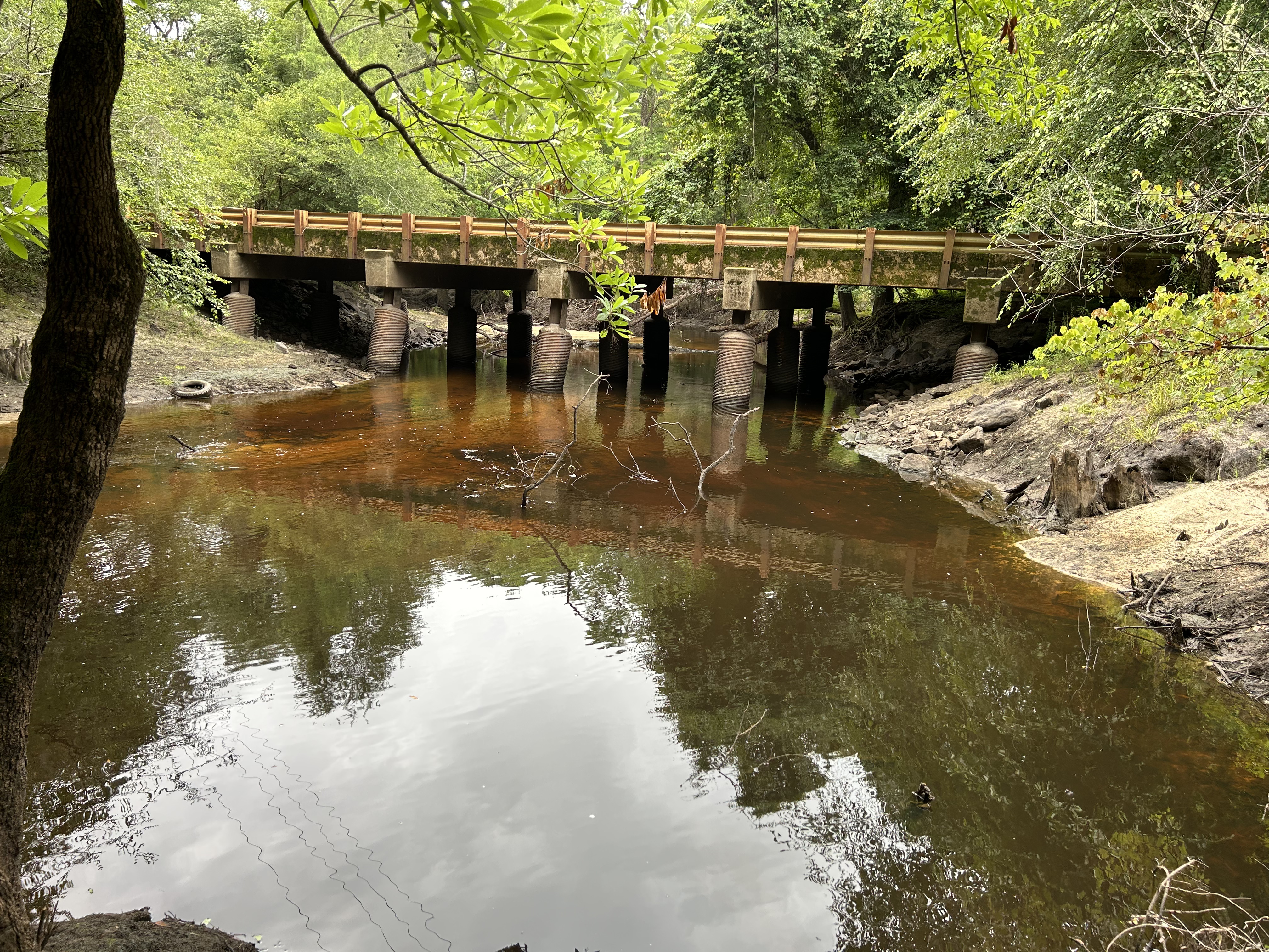 Franklinville, Withlacoochee River @ Frankinville Road 2023-06-01