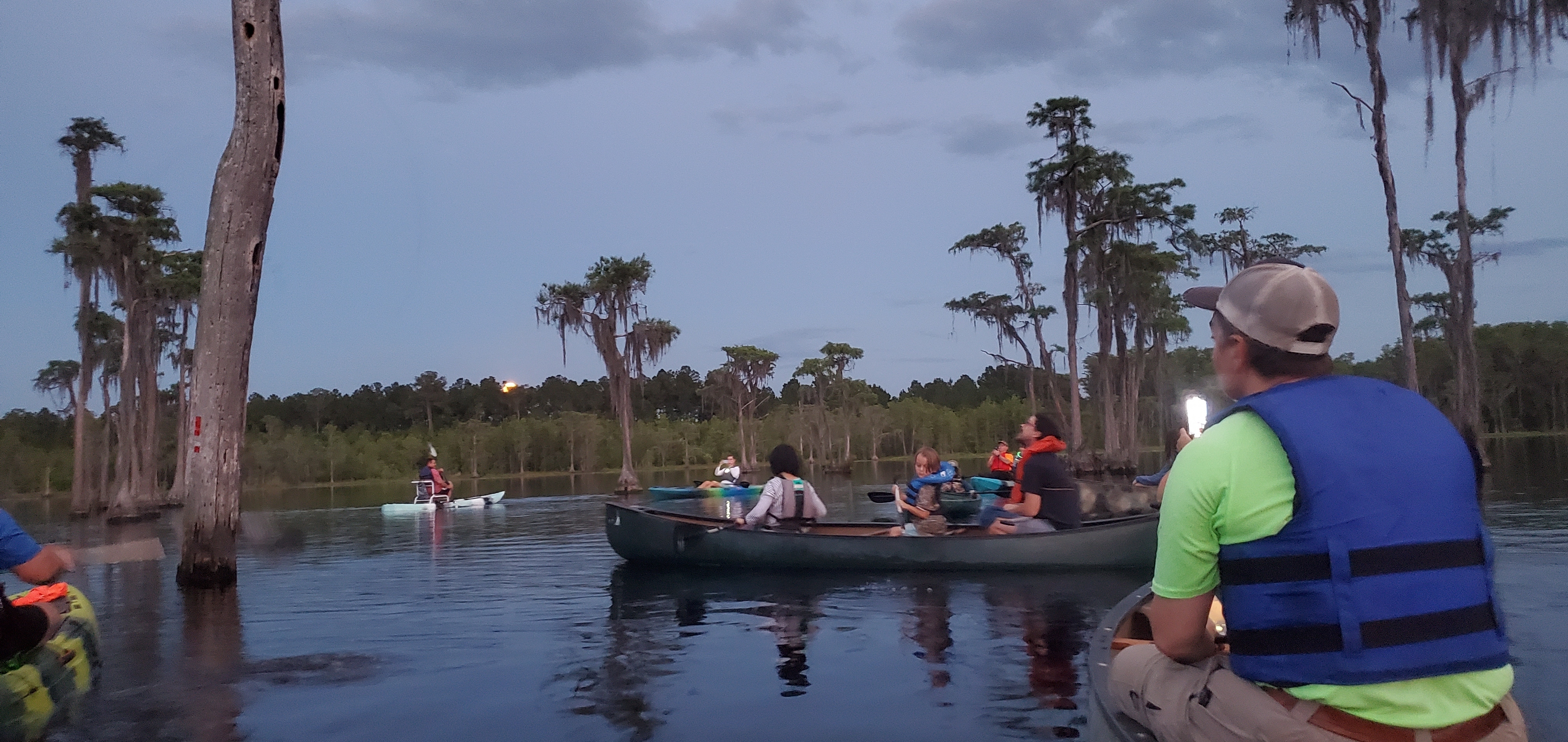 Moon rising above cypress trees