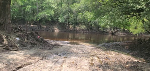 [Knights Ferry Boat Ramp, Withlacoochee River, 2023-06-08]