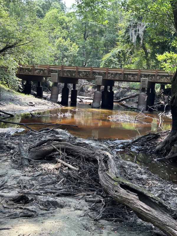 [Franklinville, Withlacoochee River, 2023-06-08]