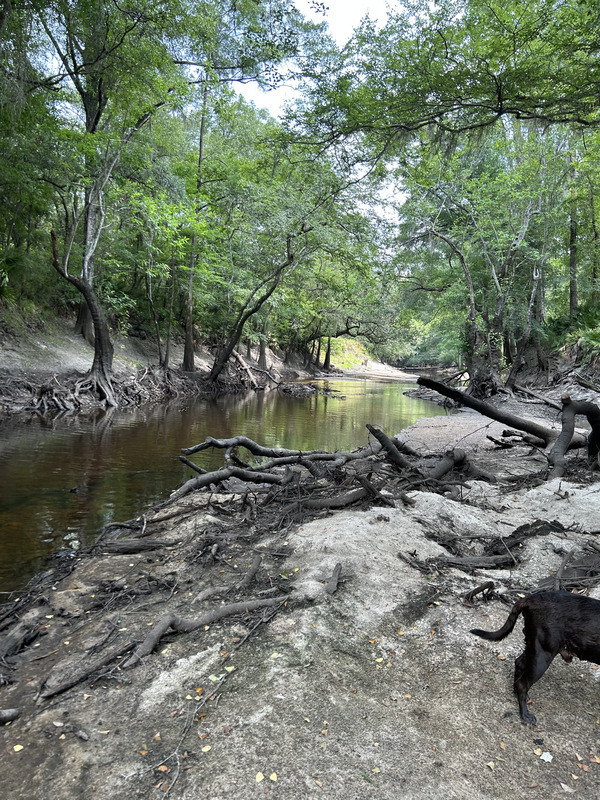 [Staten Road, Withlacoochee River, 2023-06-08]