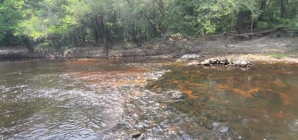 Troupville Fish Weir and Troup Bridge, 30.8517374, -83.347456