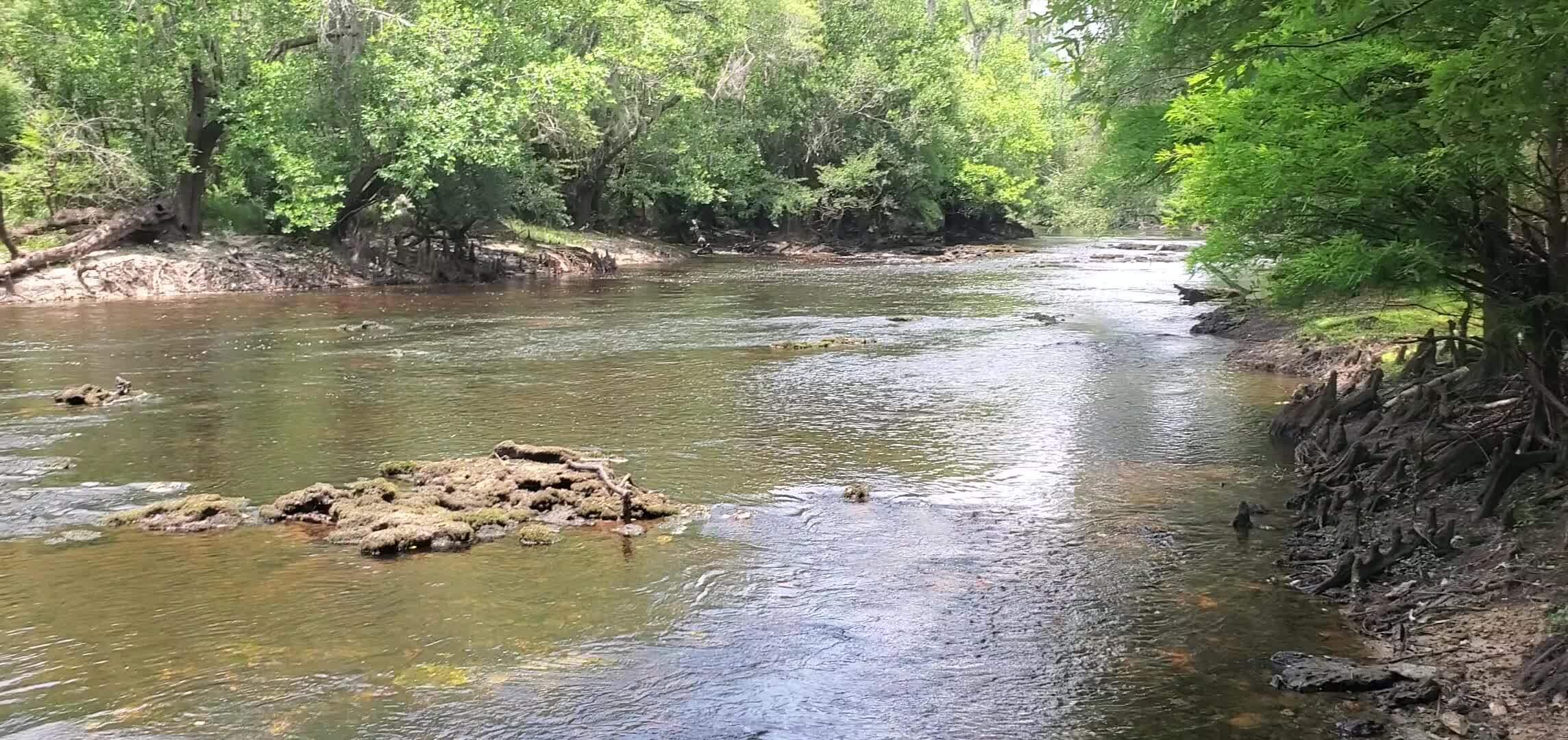 Rapids above Clyattville-Nankin Bridge, 30.675578, -83.394685