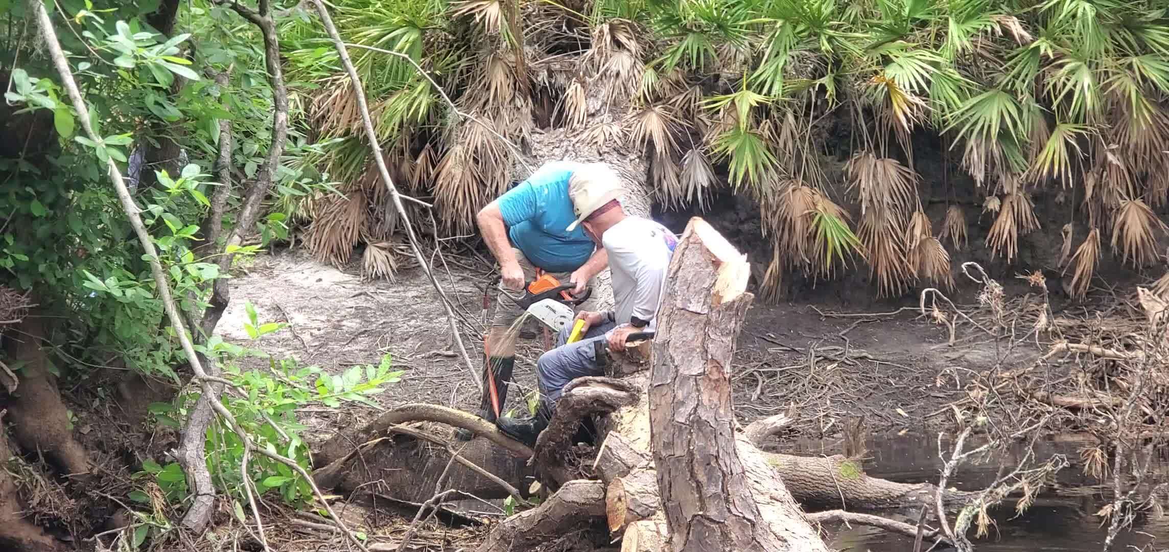 Movie: Tree water spewing from Phil Hubbard's saw at Drag Under Left, 30.7157543, -82.5159944 (136M)