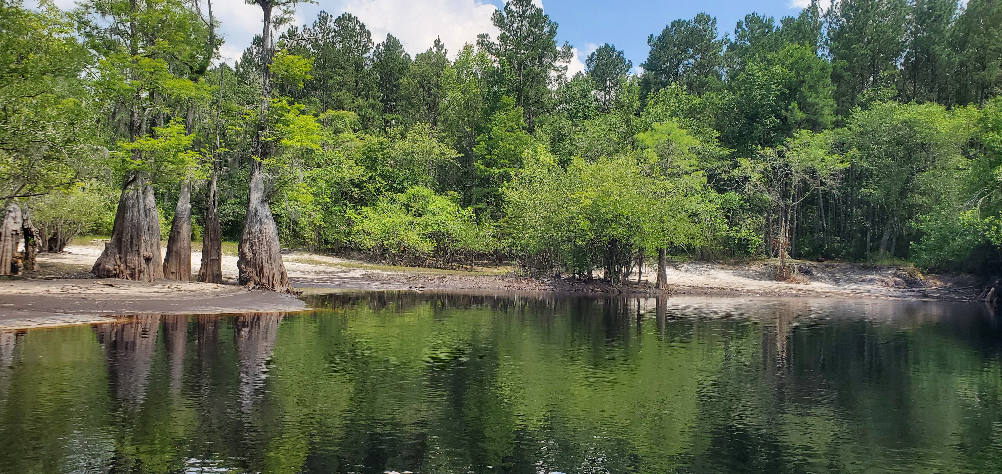 Approaching Reeves Landing, 15:12:28, 30.7085406, -82.5292903