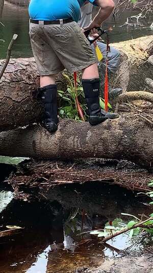 [Movie: Phil Hubbard sawing Drag Under Left with gushing tree water --Shirley Kokidko (31M)]