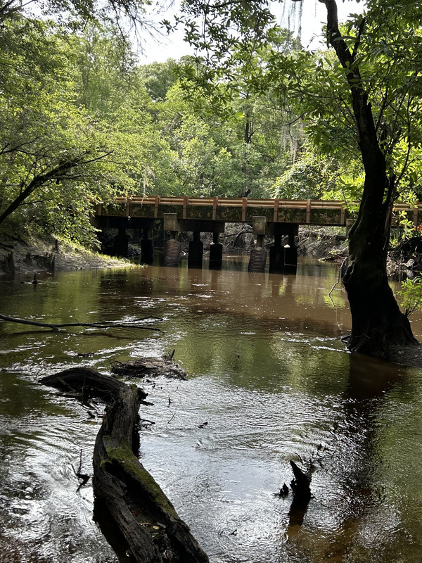 [Franklinville, Withlacoochee River @ Frankinville Road 2023-06-15]