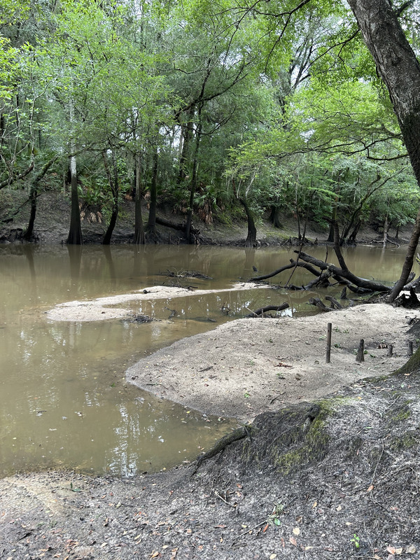 [Staten Road, Withlacoochee River @ Staten Road 2023-06-15]