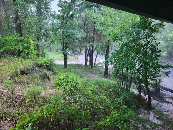 [Nankin Boat Ramp, Withlacoochee River @ Clyattville-Nankin Road 2023-06-15]