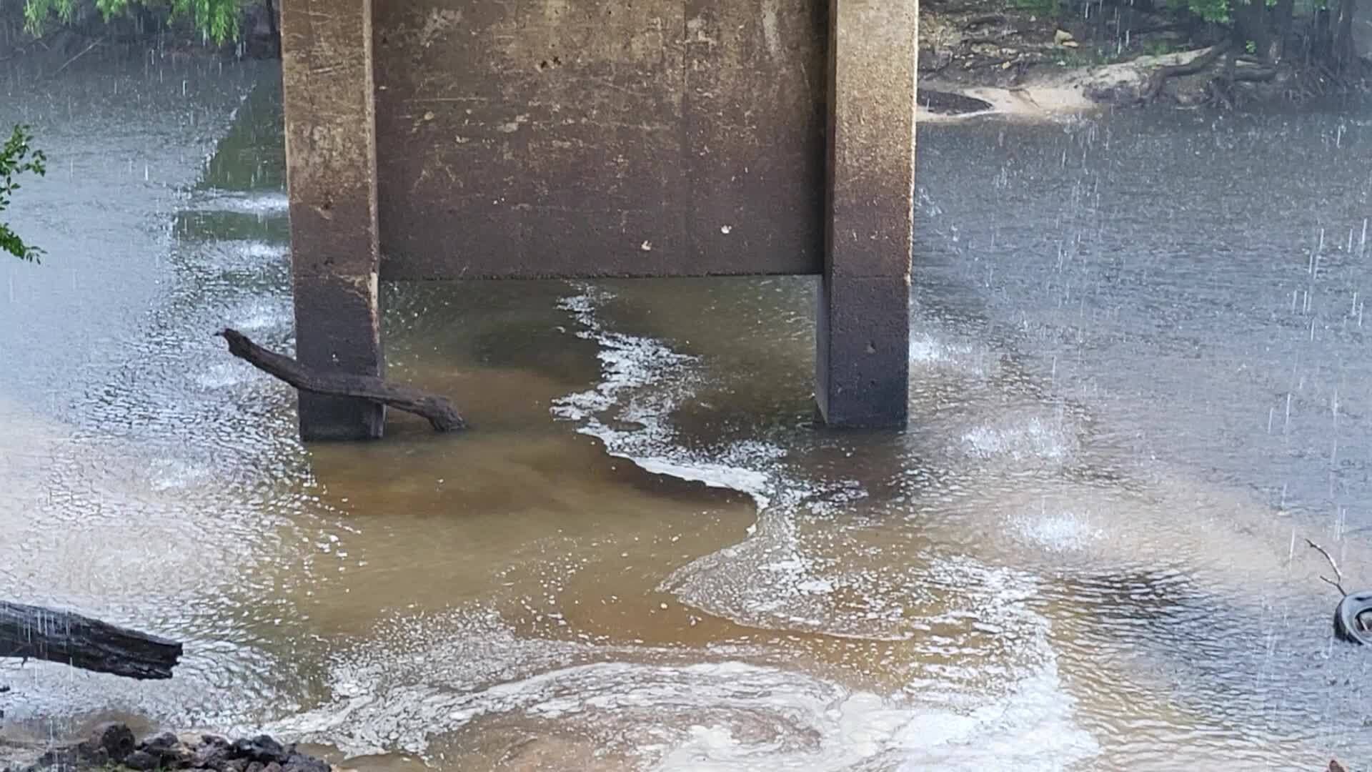 Movie: Nankin Boat Ramp, Withlacoochee River @ Clyattville-Nankin Road 2023-06-15