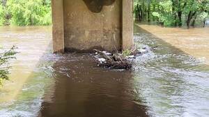 [Movie: Level and Flow, Nankin Boat Ramp, Withlacoochee River @ Clyattville-Nankin Road 2023-06-22]