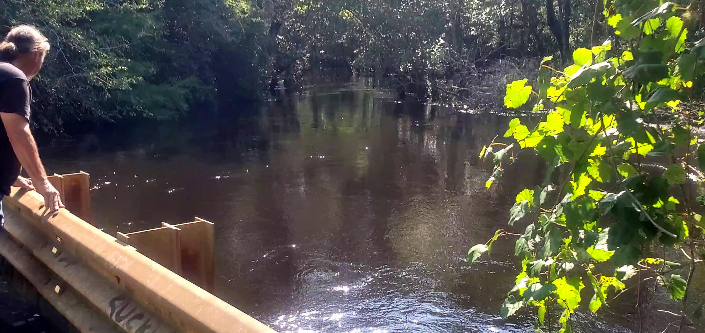 Downstream, Withlacoochee River from Tyler Bridge