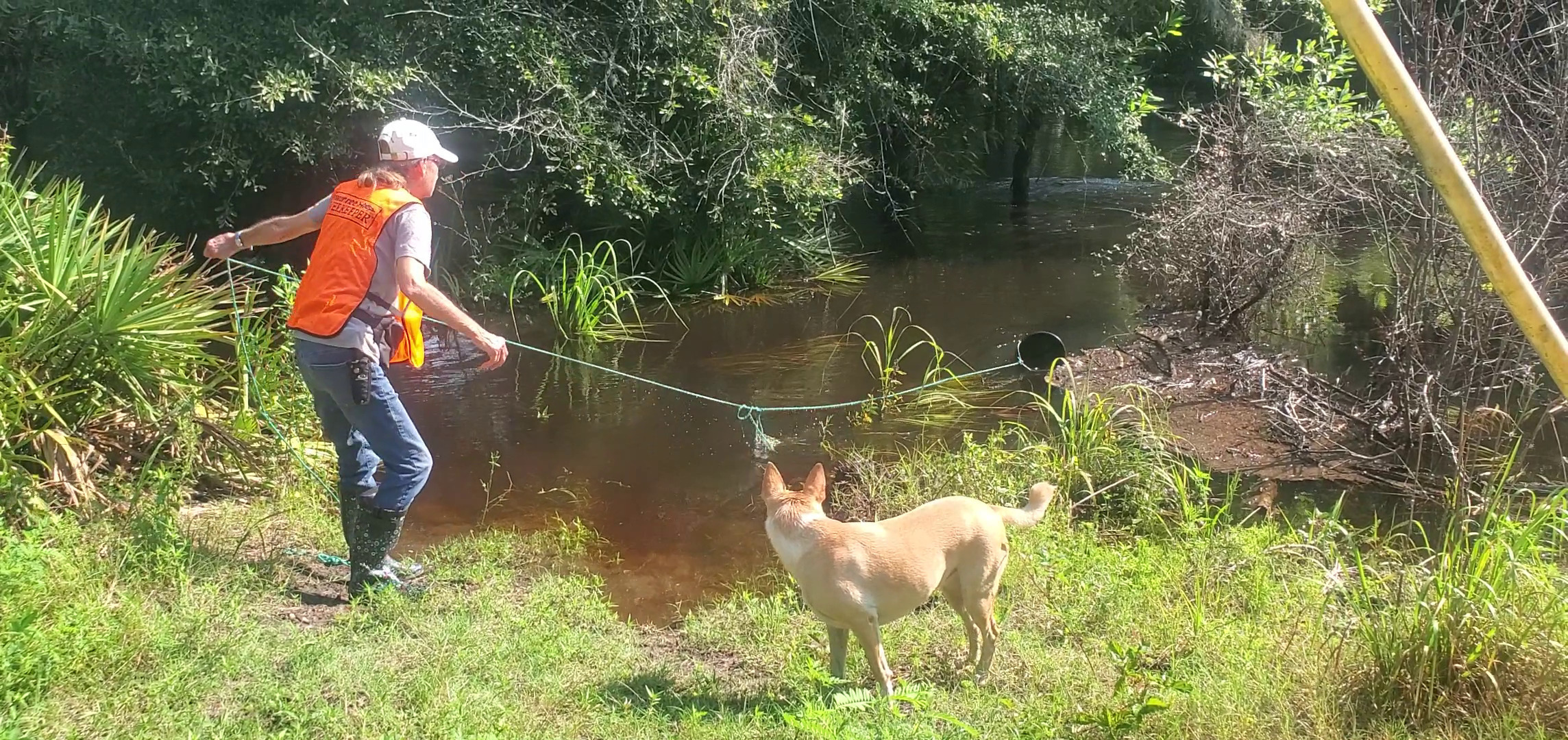 Cindy Vedas reeling in a water sample, assisted by Blondie the dog