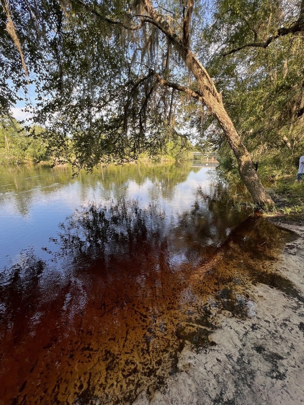 [Naylor Park Beach @ US 84, Alapaha River 2023-06-25]