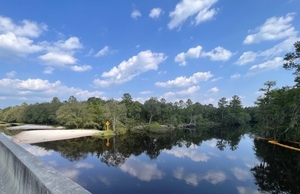 [Left bank, Lakeland Boat Ramp at GA 122, Alapaha River 2023-06-25]