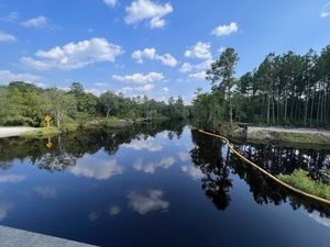 [Alapaha River, Lakeland Boat Ramp at GA 122 2023-06-25]