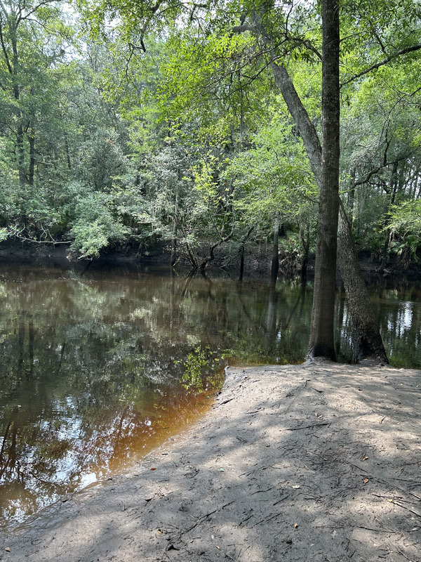 [Staten Road, Withlacoochee River @ Staten Road 2023-06-29]