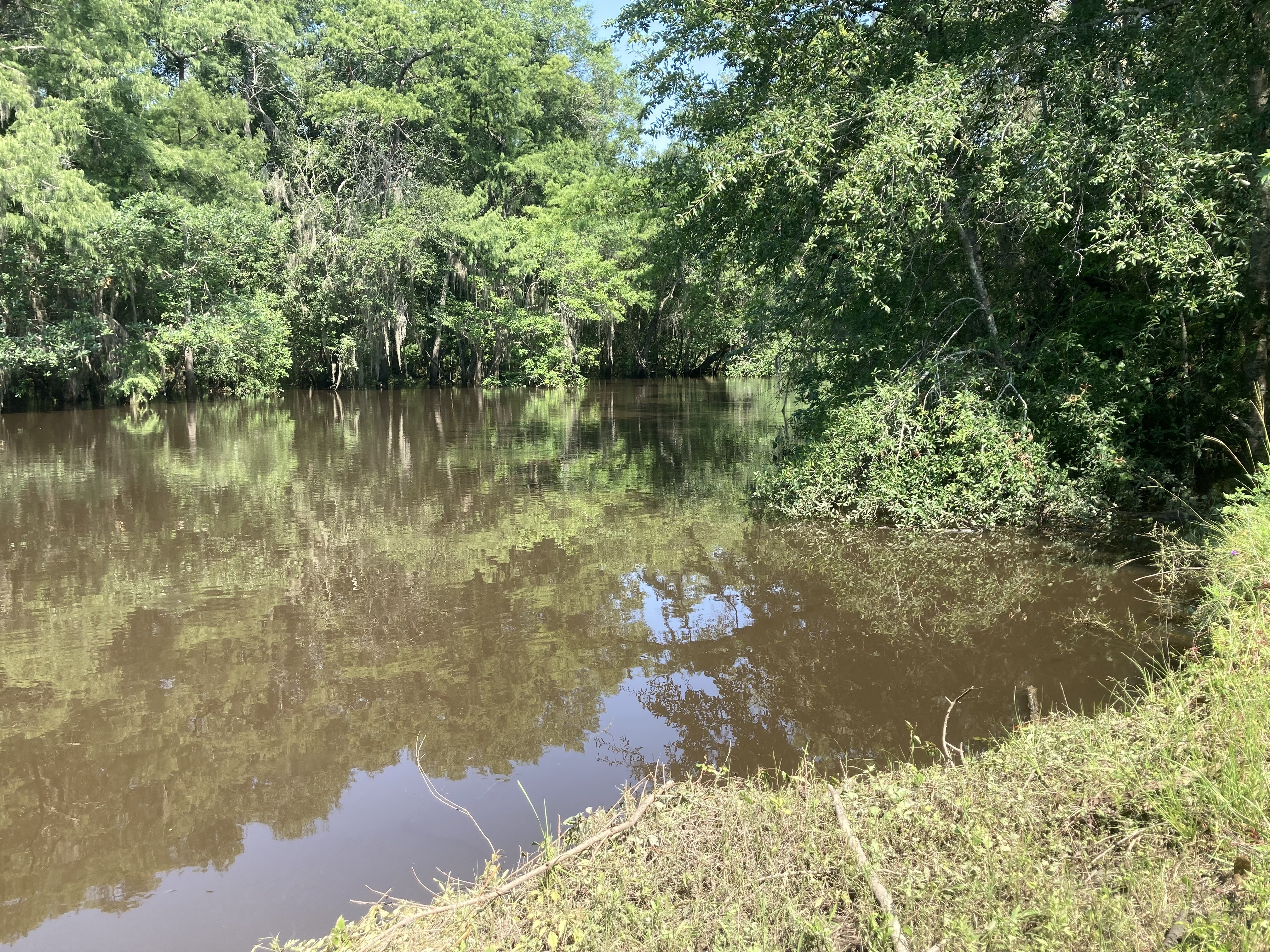 Sheboggy Boat Ramp, Alapaha River @ US 82 2023-06-29