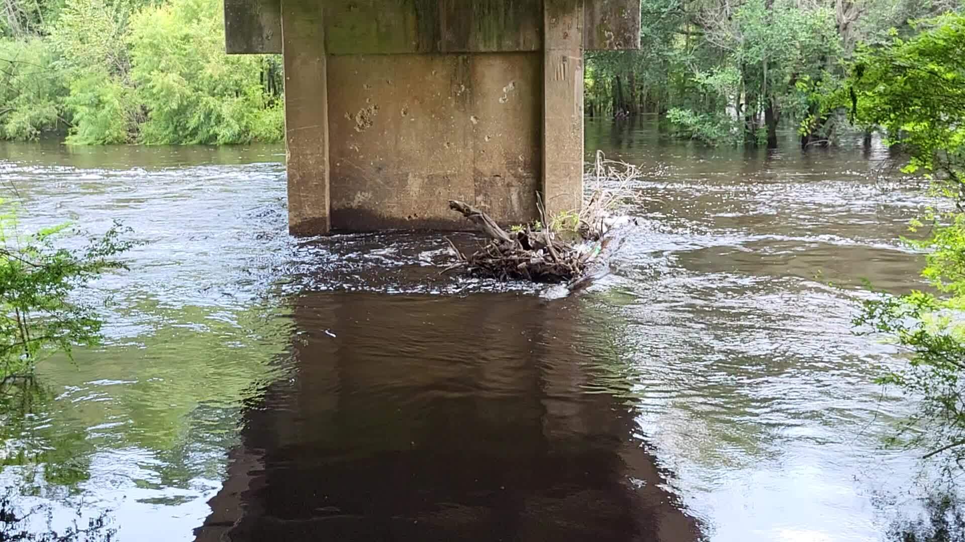 Movie: Water Level, Nankin Boat Ramp, Withlacoochee River @ Clyattville-Nankin Road 2023-06-29