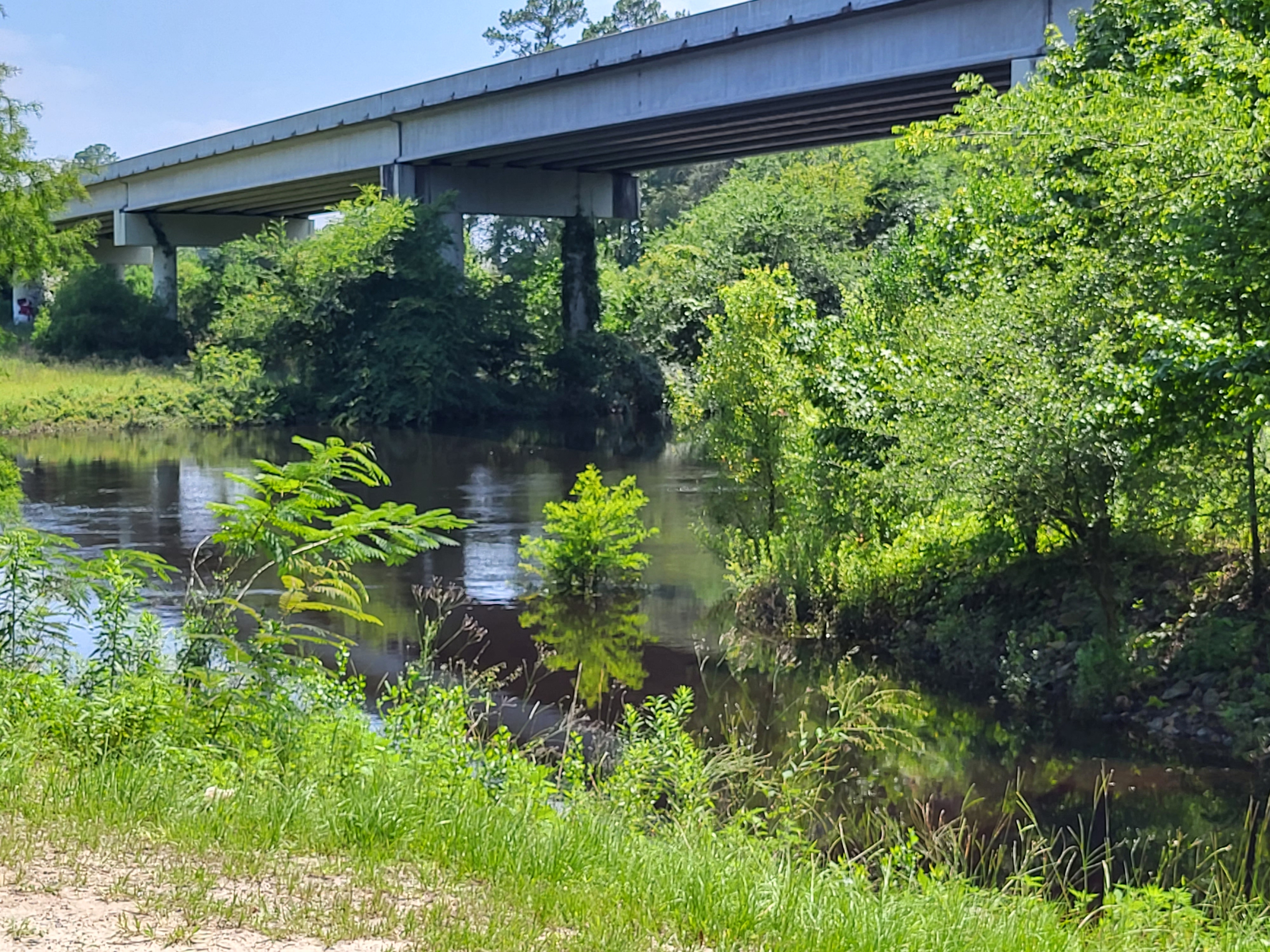 State Line Boat Ramp, Withlacoochee River @ Madison Highway 2023-06-29