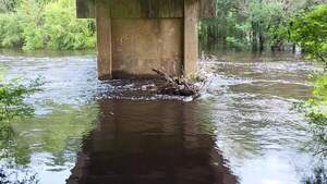 [Movie: Water Level, Nankin Boat Ramp, Withlacoochee River @ Clyattville-Nankin Road 2023-06-29]