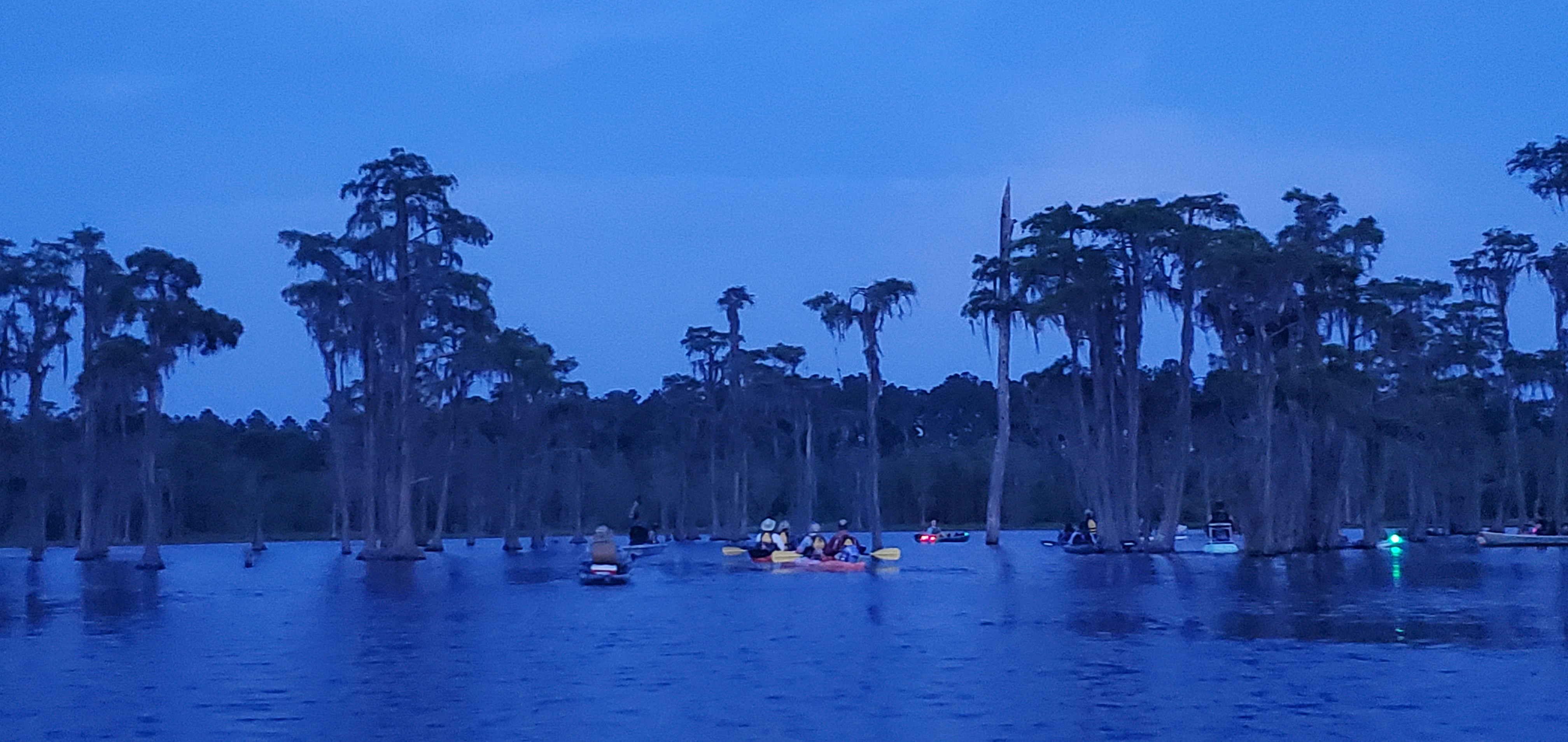 Waiting for moonrise at the bat tree