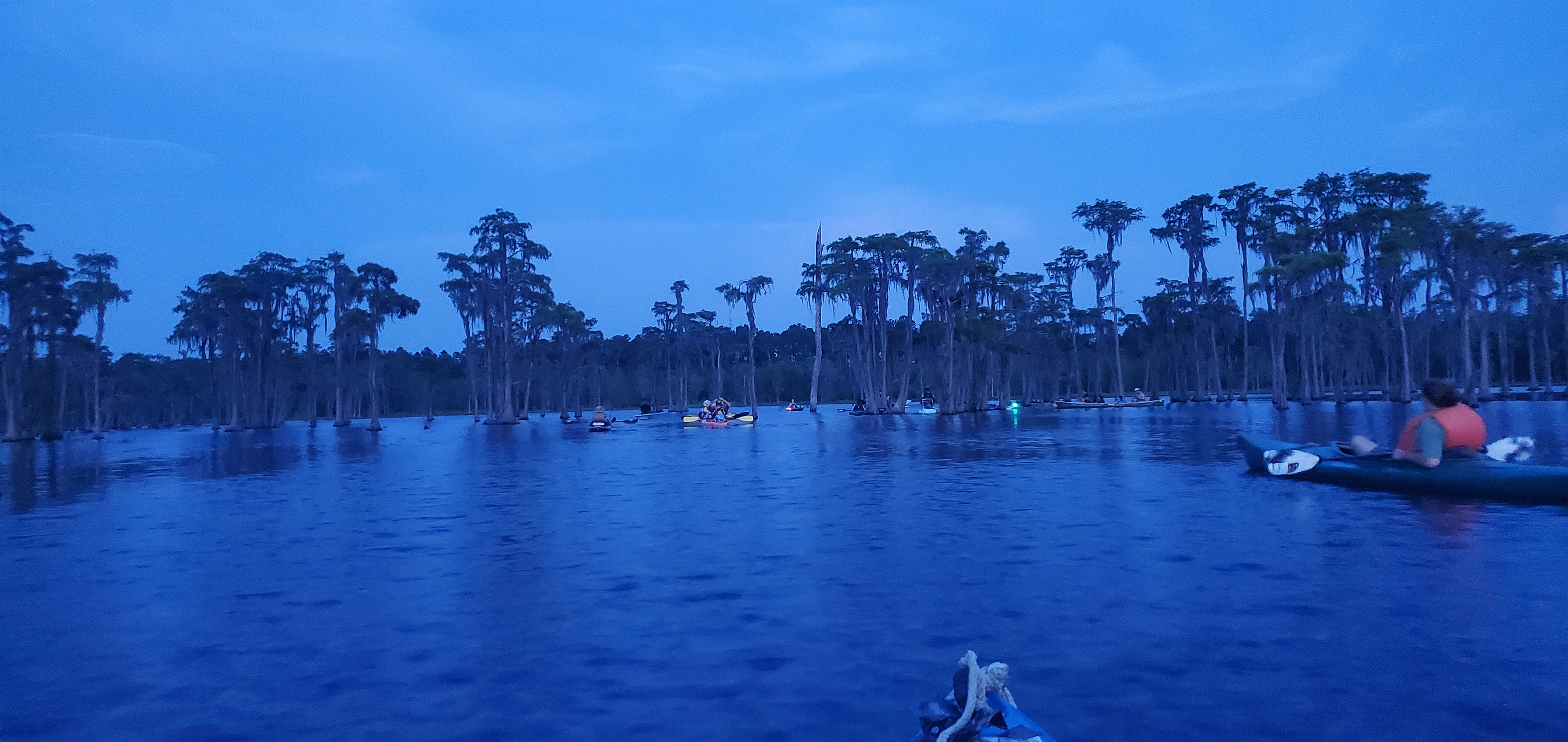 Boats surrounding the bat tree