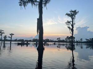 [Water, cypress, boaters, clouds --Gee Edwards]