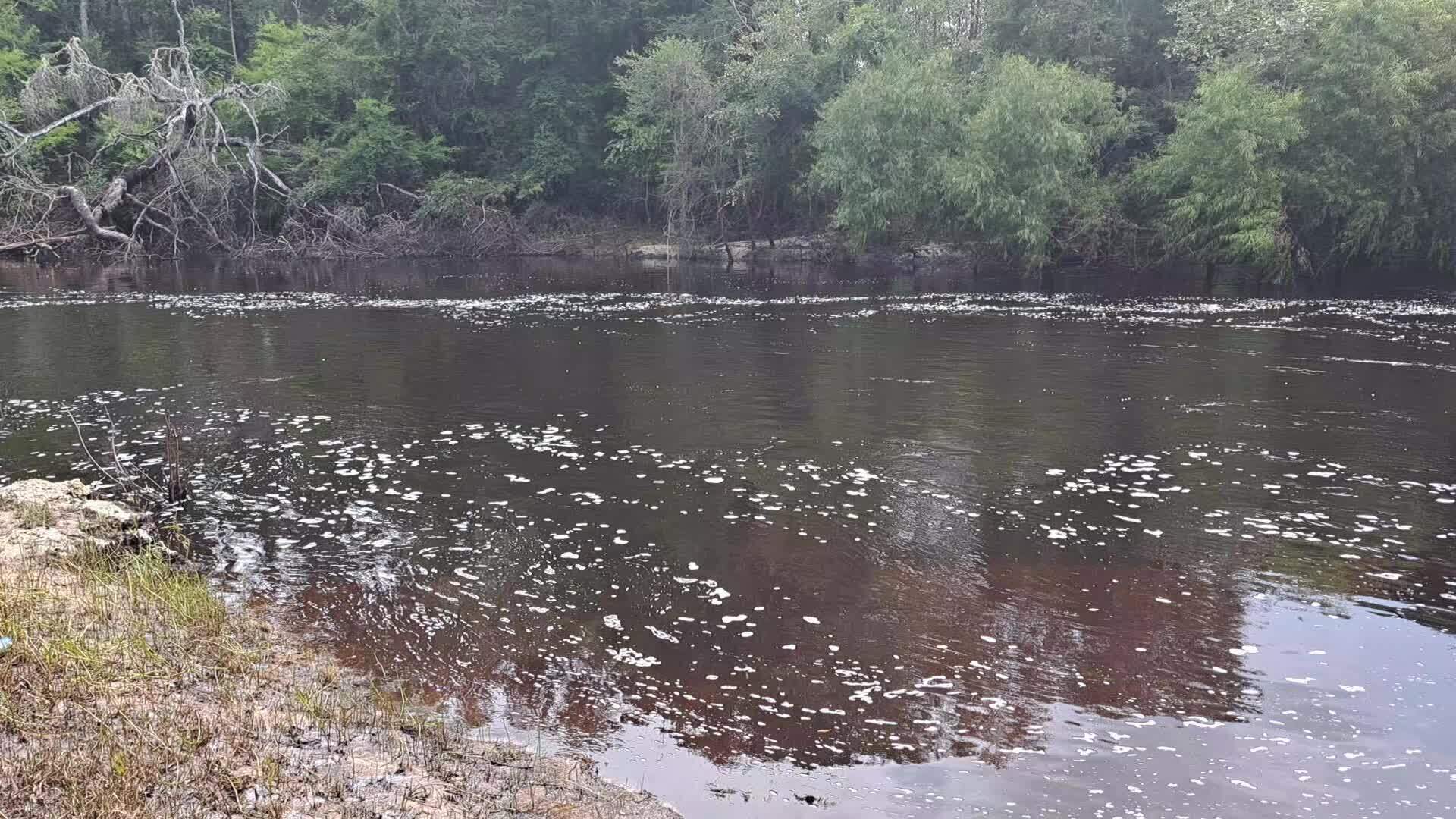 Movie: Withlacoochee River flowing under Clyattville-Nankin Road bridge (45M) --Suzy Hall 2023-07-05