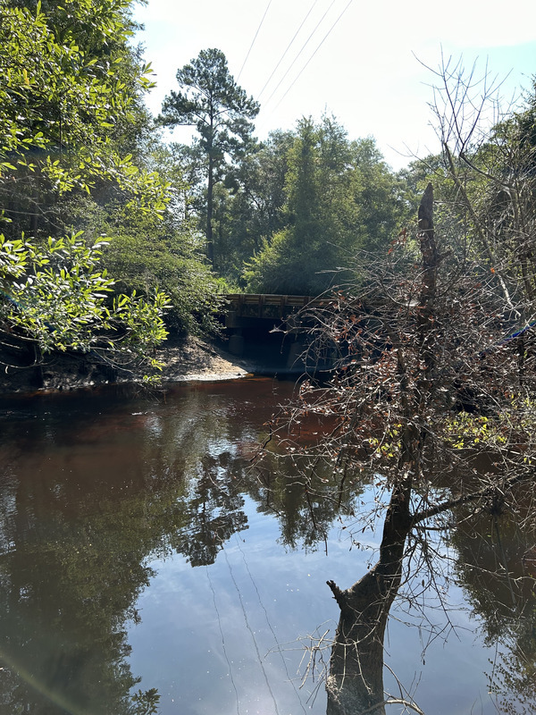 [Franklinville, Withlacoochee River @ Frankinville Road 2023-07-06]