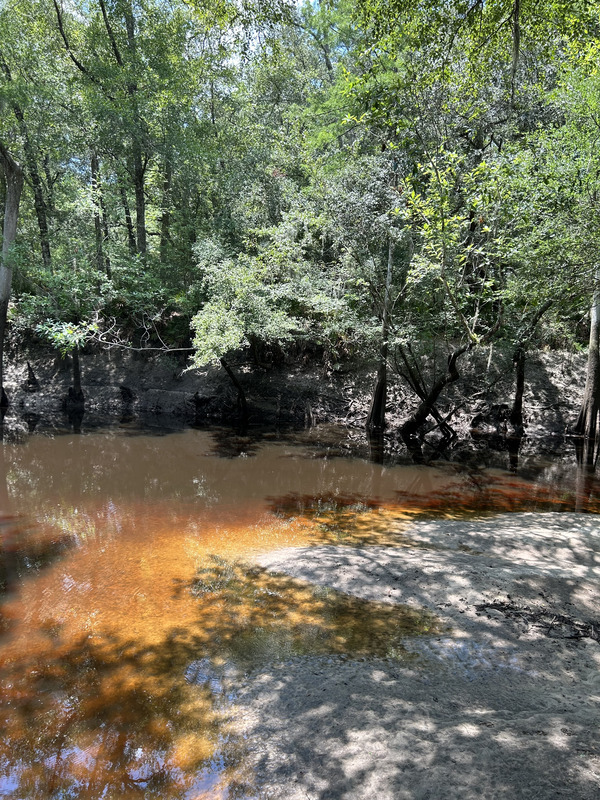 [Staten Road, Withlacoochee River @ Staten Road 2023-07-06]