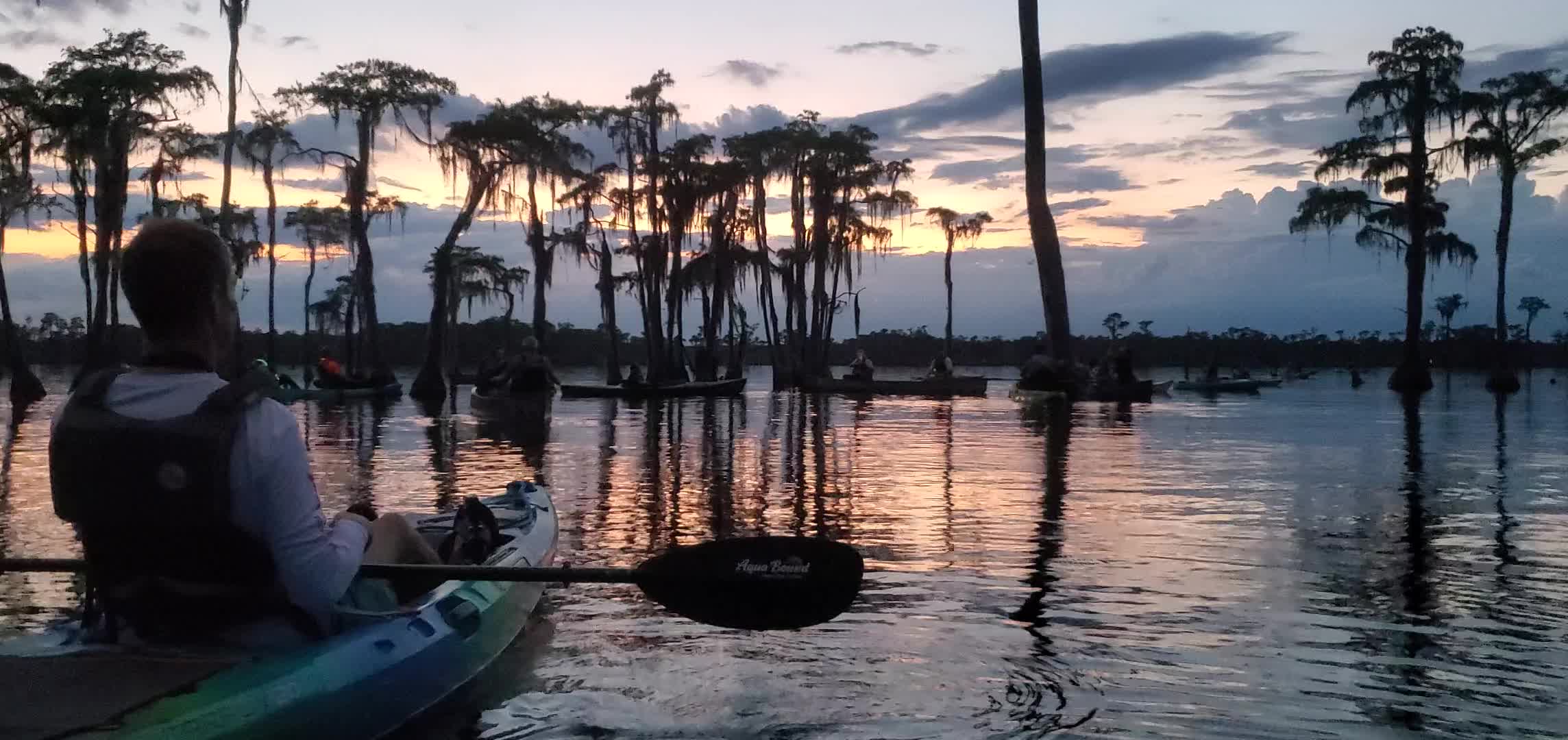 Movie: Sunset, bats, moonrise (91M)