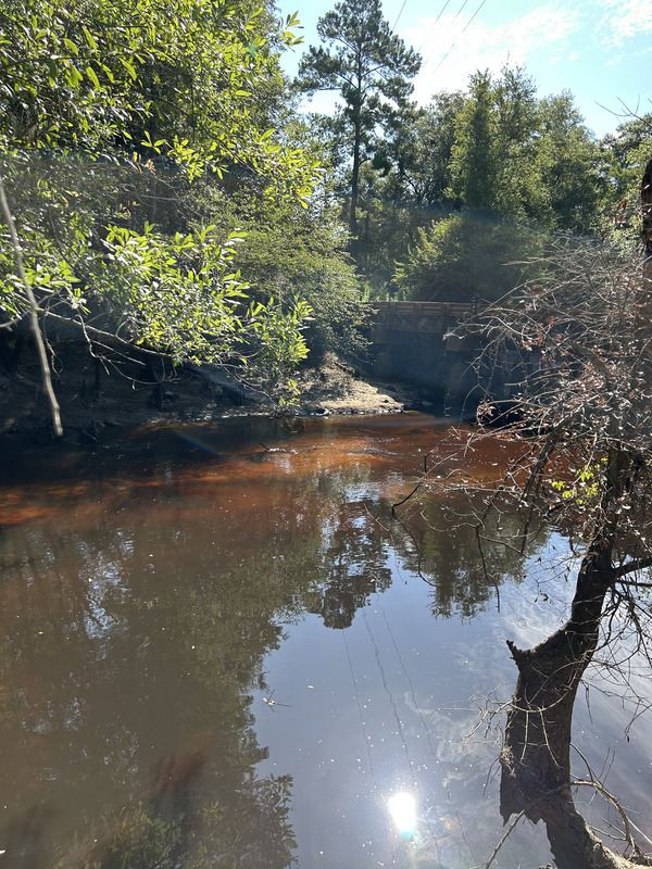 [Franklinville, Withlacoochee River @ Frankinville Road 2023-07-13]