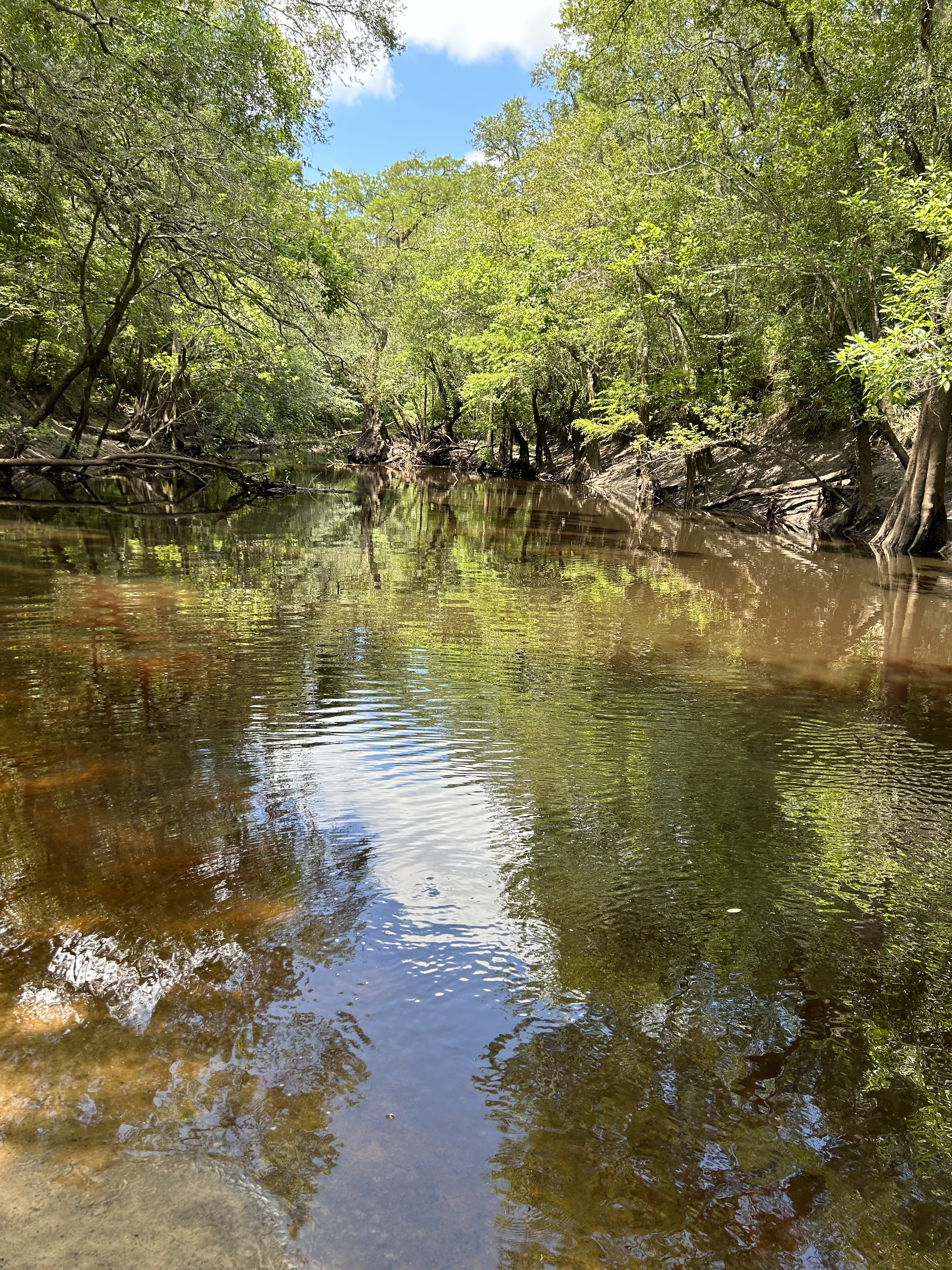 Staten Road, Withlacoochee River @ Staten Road 2023-07-13