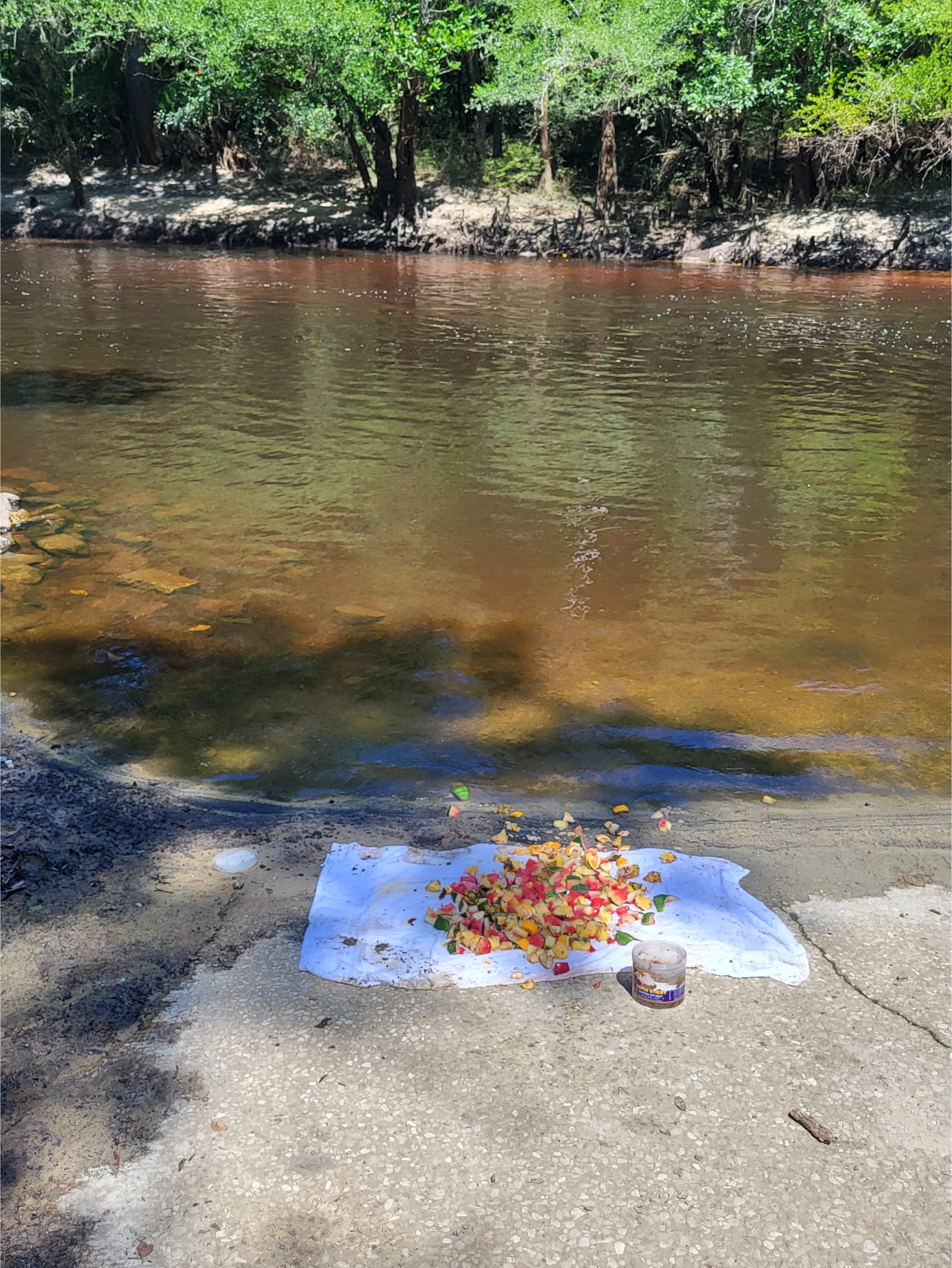 Troupville Boat Ramp, Little River @ GA 133 2023-07-13