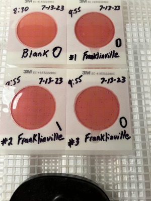 [Plates, Franklinville 2023-07-13]