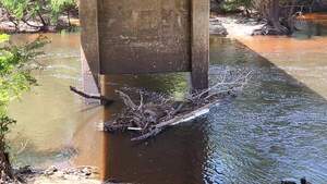 [Movie: Water Level and Flow, Nankin Boat Ramp, Withlacoochee River @ Clyattville-Nankin Road 2023-07-13]