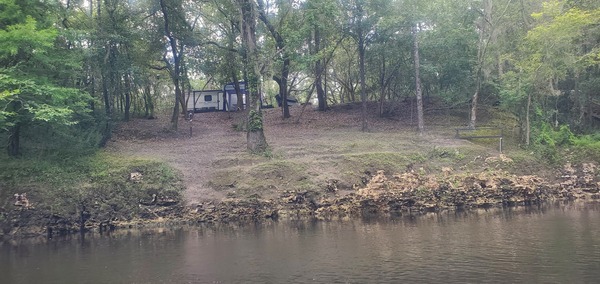 [River back yard, 13:42:02, 30.5336317, -83.2475918]